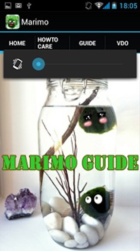 Marimo Moss Ball Guide截图4