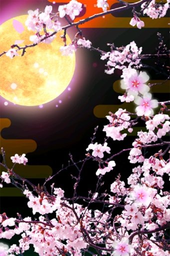 Cherry Blossoms at Night Trial截图2