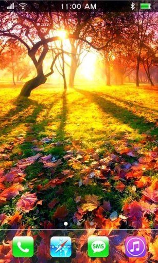 Autumn Leavs live wallpaper截图1