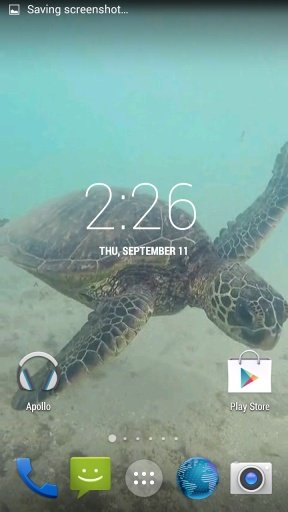 Sea Turtle HD. Wallpaper截图1