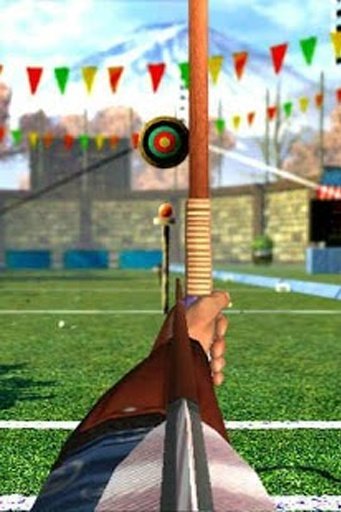 Archery WorldCup Tournaments截图6