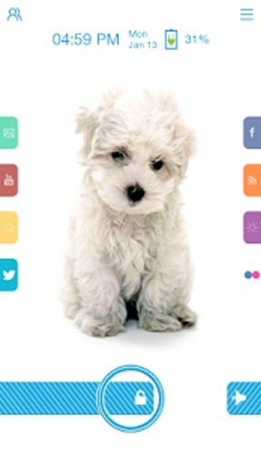 Puppy - Start Theme截图3