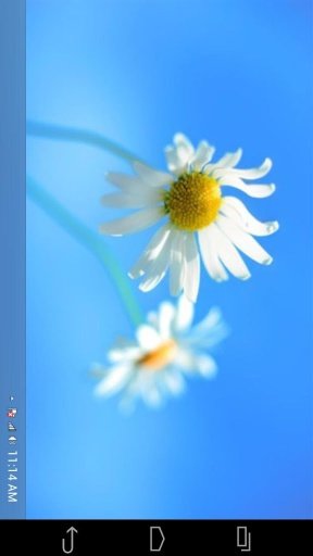 Fake Windows 8截图6