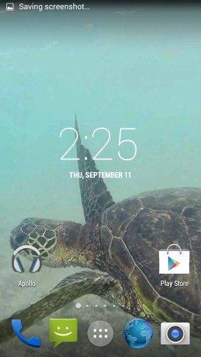 Sea Turtle HD. Wallpaper截图4