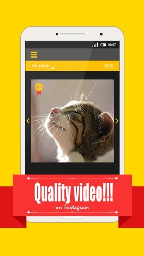 TOP 10-INSTAGRAM CAT VIDEO截图3