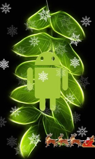 Top Christmas Wallpaper截图2