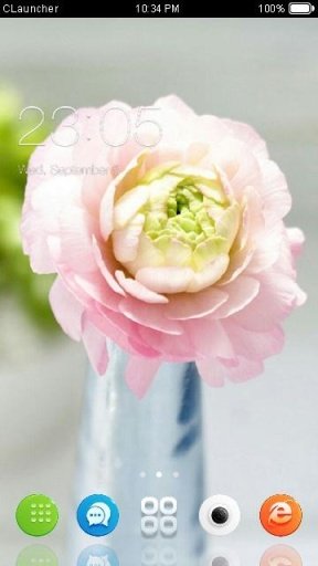 Romantic Flower Theme截图2