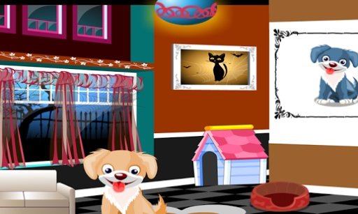 Talking Dog Free Room Game截图5