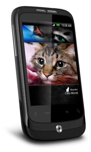 Fancy Cat HD截图3