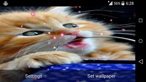 Cute Cat Live Wallpaper截图8