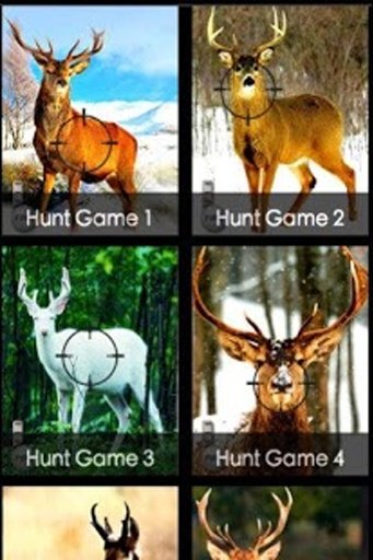 deer shooters hunter 2014截图4