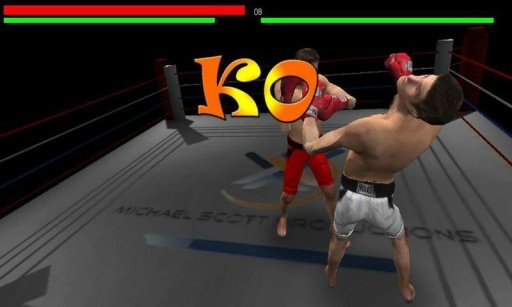 Boxing 3D Mania截图1