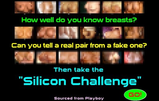 Silicon Challenge截图4