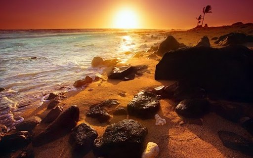 Beach Sun Wallpapers HD截图4