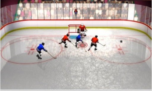 Hockey Pro 3D 2014截图1