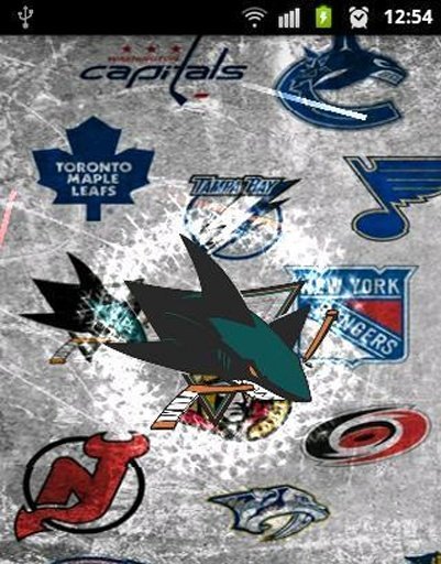 NHL Teams Live Wallpaper截图1