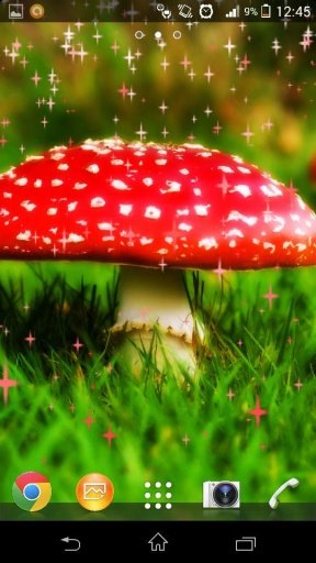 Magic Mushrooms LWP by Rocking截图2