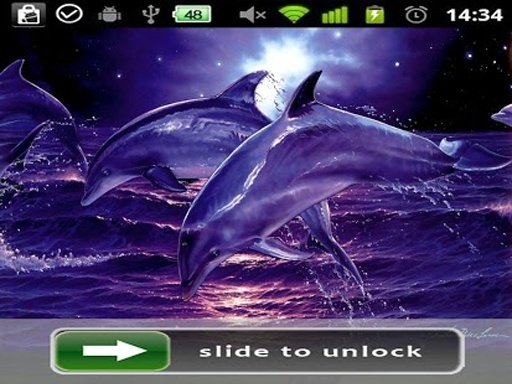 Dolphin Theme Lock Screen截图2