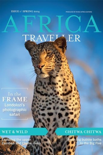 Africa Traveller截图3