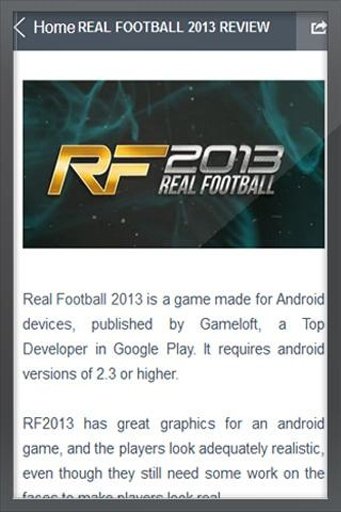 Real Football 2013 Review截图1