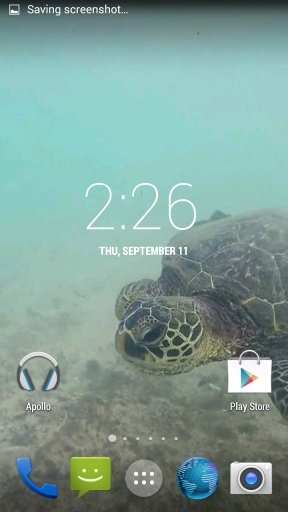 Sea Turtle HD. Wallpaper截图2