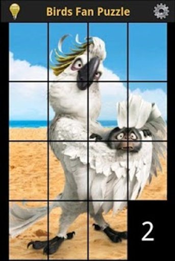 Birds Fan Puzzle截图3