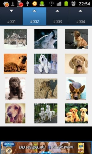 Dogs and Cats Sounds截图3