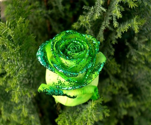 Green Rose Live Wallpaper截图2