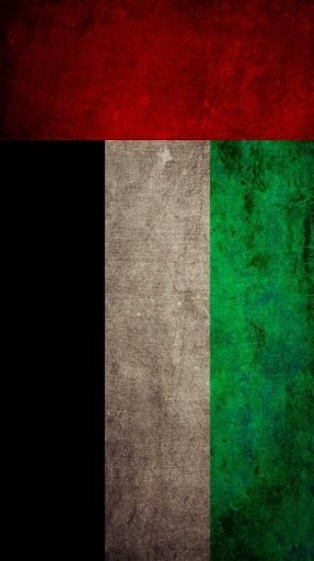 United Arab Emirates flag LWP截图3