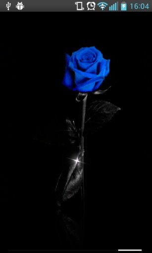 Blue Roses Live Wallpaper截图2