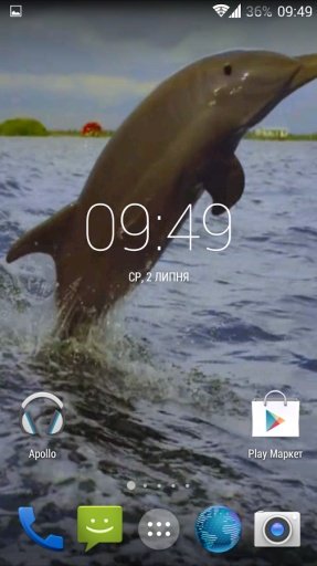 Dolphin 3d. Video Wallpaper截图4