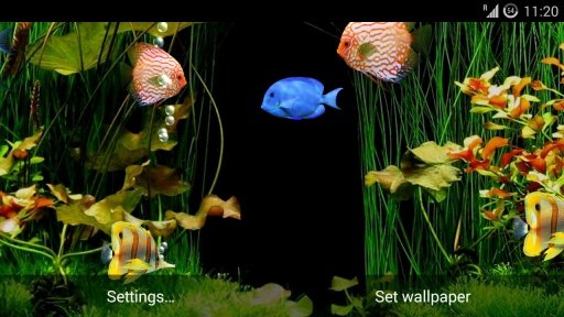 aniPet Aquarium HD LWP截图3