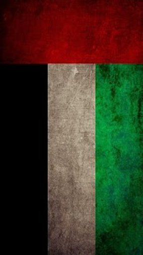 United Arab Emirates flag LWP截图2