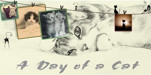 A Day Of A Cat Solo Theme截图3