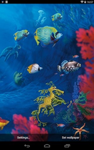 Sea Aquarium Live Wallpaper截图5