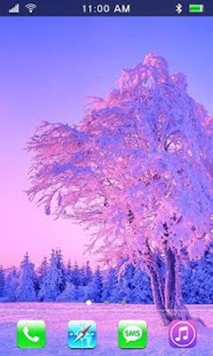 Nice Winter HD live wallpaper截图5