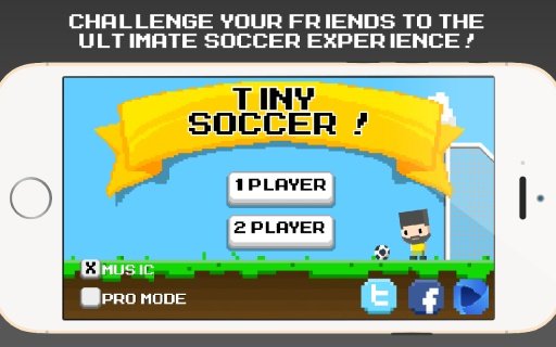 Tiny Soccer截图4