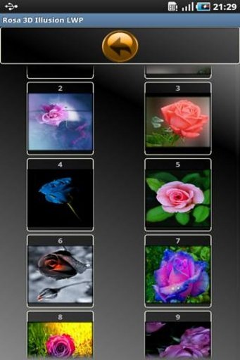 Rose 3D Illusion LWP截图3