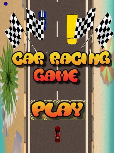 CAR RACING KING截图2