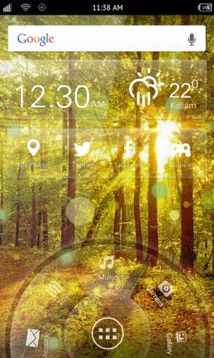 Sunny Forest Wallpaper截图3