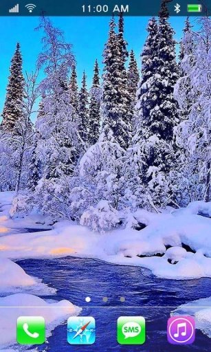 Nice Winter HD live wallpaper截图4