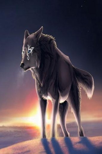 Wolves Wallpaper截图4