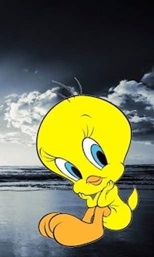 Tweety Bird Wallpaper截图2