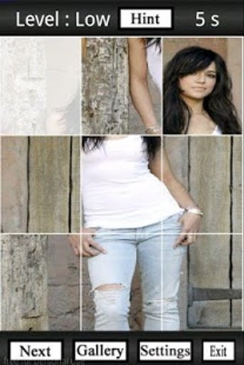 Michelle Rodriguez Fans Puzzle截图5