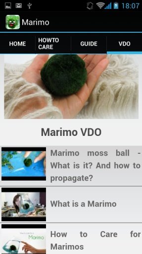 Marimo Moss Ball Guide截图1