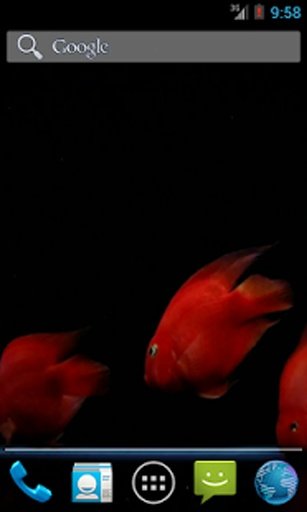 Red Fish Aquarium LWP HD截图1