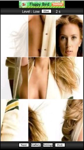 Scarlett Johansson In Puzzle截图4