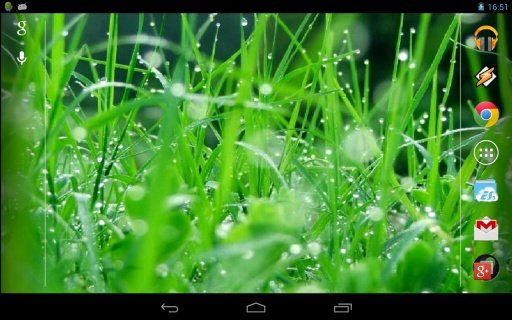 Live Grass HD截图1