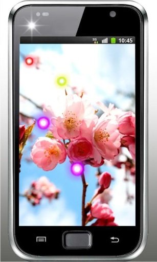 Sakura Japan Garden HQ LWP截图4