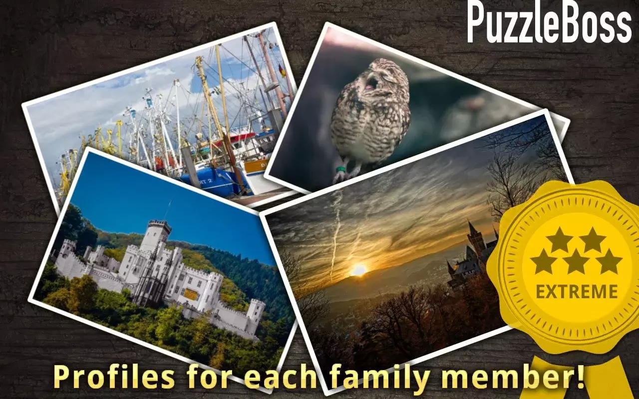 German Jigsaw Puzzles FREE截图2